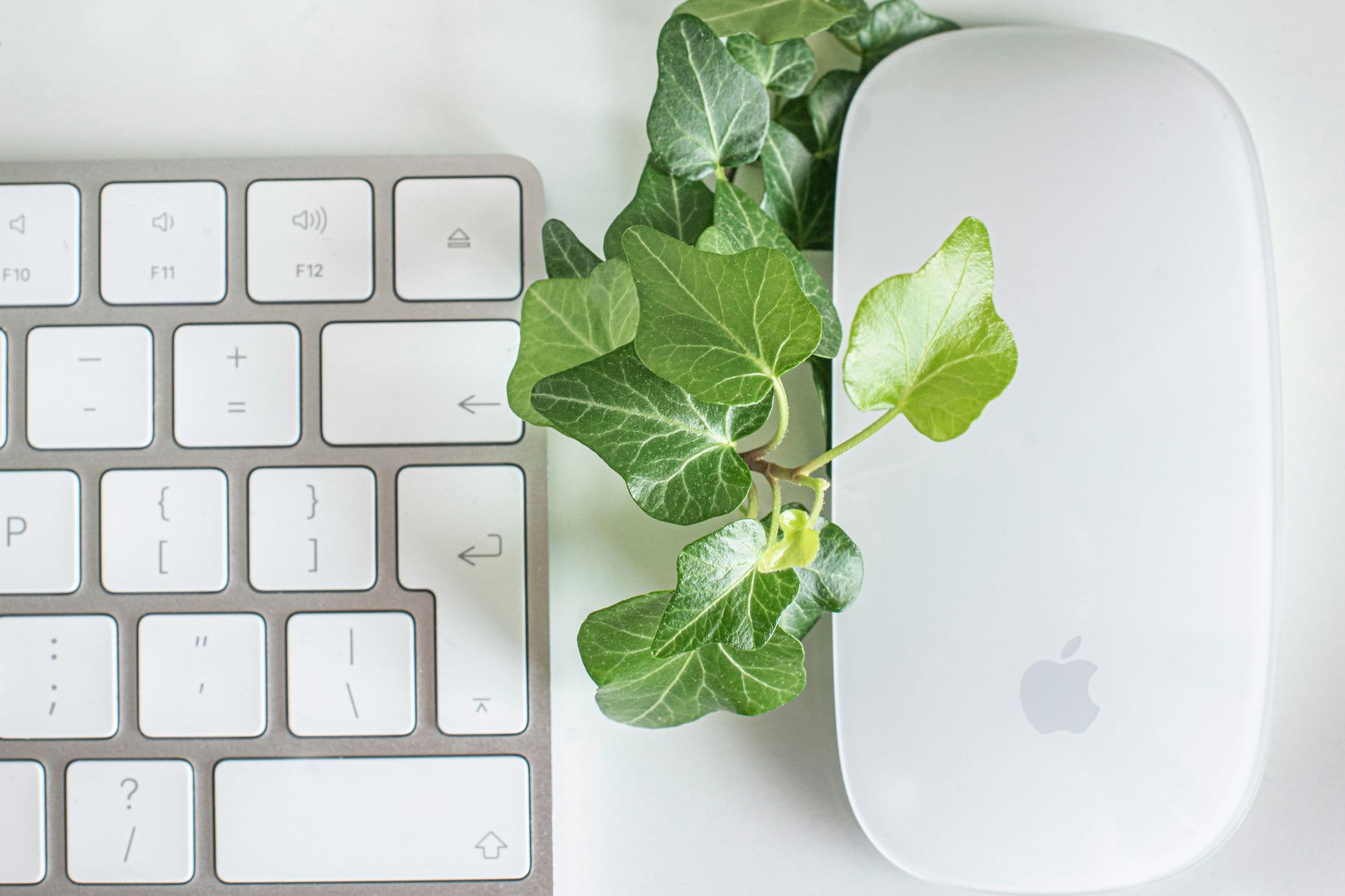 How to Use Automation to Reduce Overwhelm (Without Becoming a Tech Person)