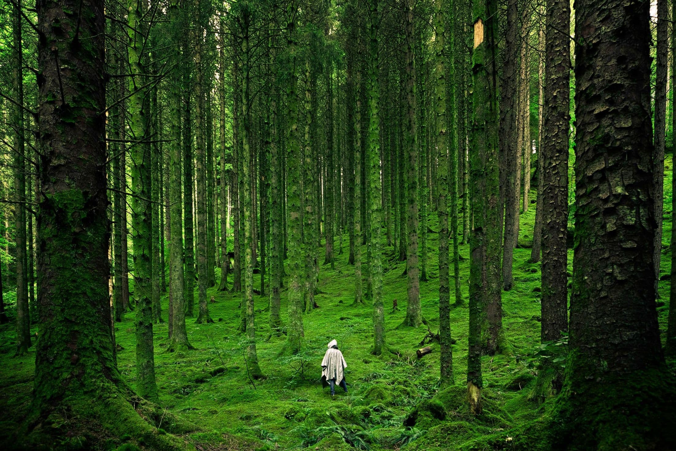 Living without regret: the quiet choices that actually matter